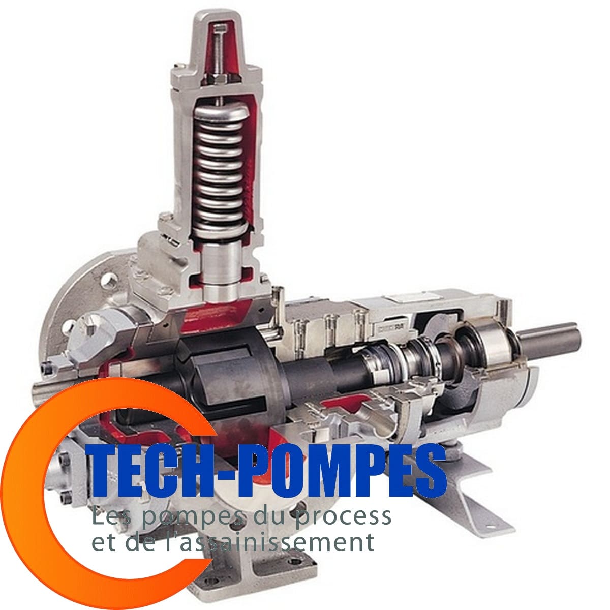 Pompe TG GH Johnson Pump