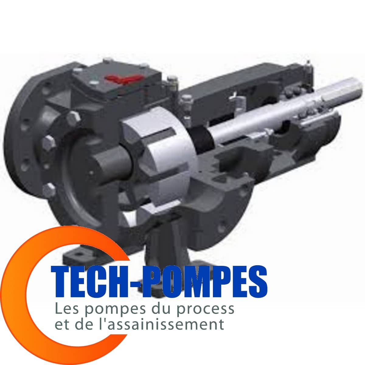 Pompe TG GP - TG GM Johnson Pump