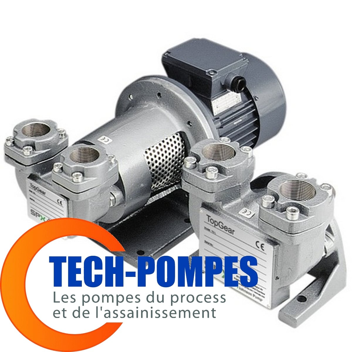 Pompe TGL Johnson Pump